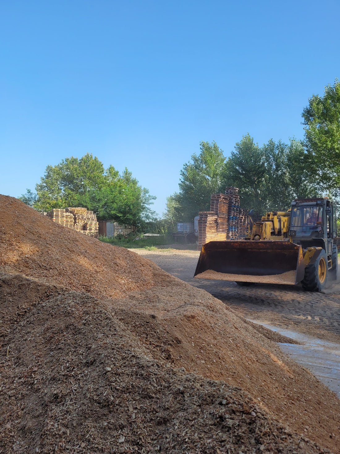 De déchets végétaux à litière premium — l’histoire de Pellets Dorés en Camargue